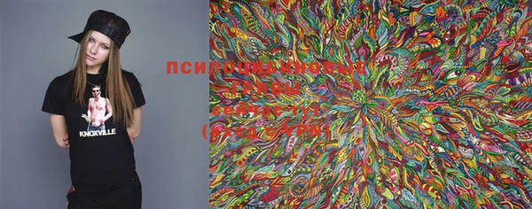 винт Киренск