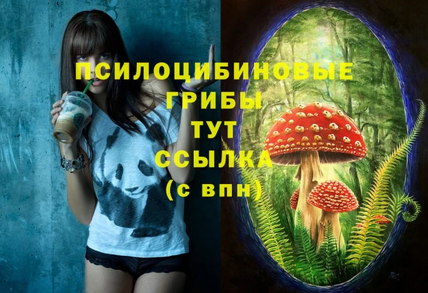 a pvp Киреевск